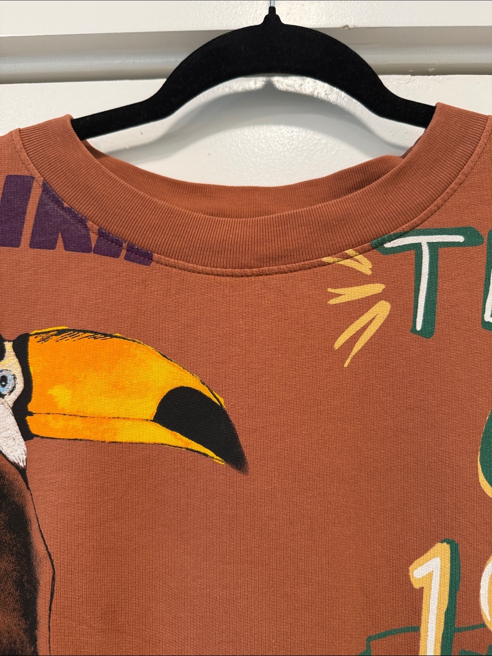 FARM Rio Rust Graphic Crewneck Sweater with Toucan Print size large - Picture 2 of 11